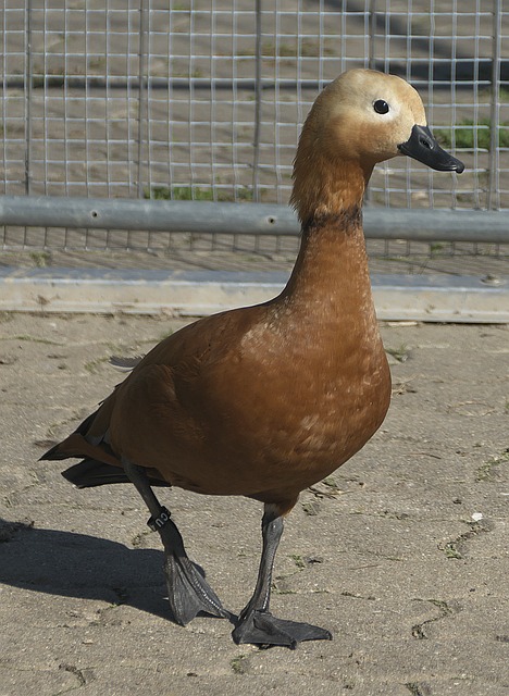 上不可或缺