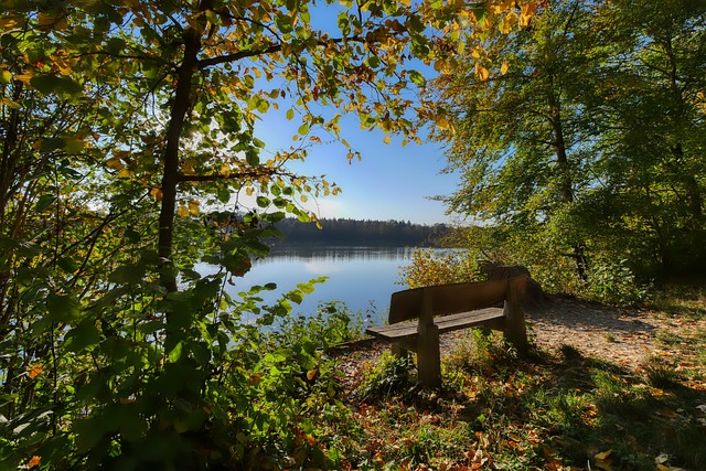 和出色的篮 和出色的篮