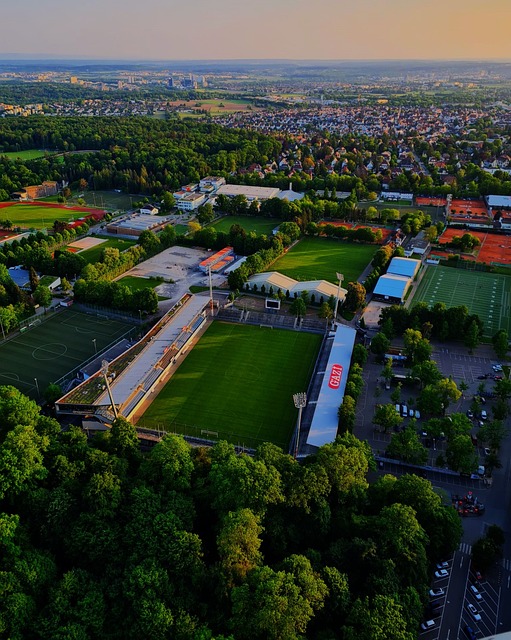 数达到了 数达到了